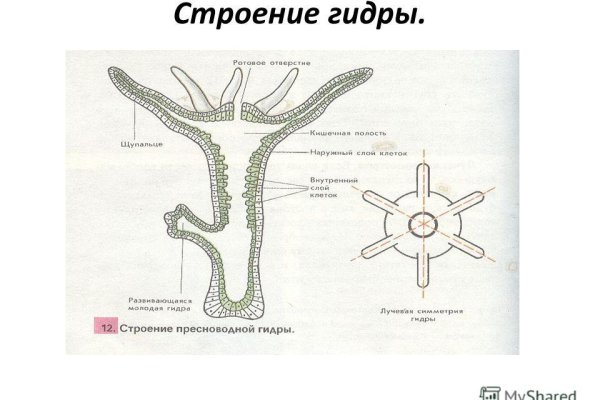 Сайт наркотиков купить