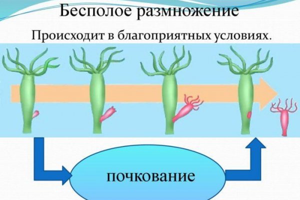 Ссылка на кракен 2024