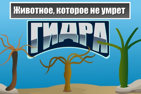 Как заказать на кракене